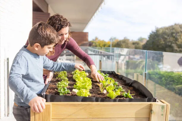 Benefits of Urban Gardening