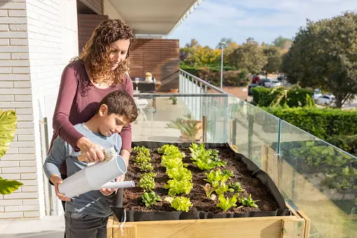 Urban Gardening